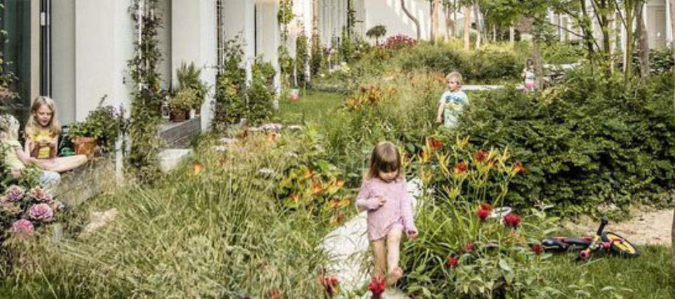 Beaux Mine Redevelopment